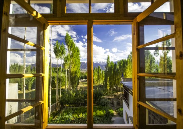 Cost of Wood Window Replacement in Concord